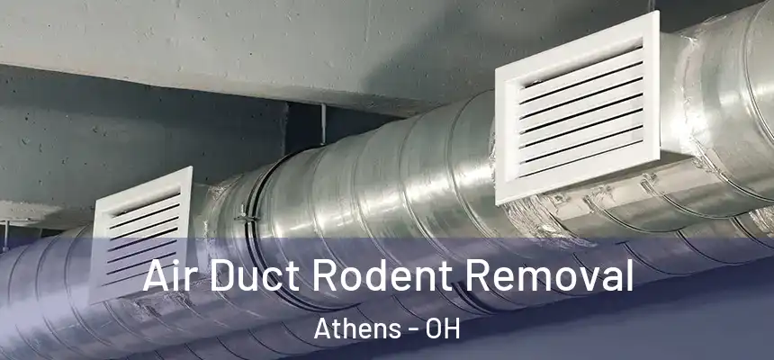  Air Duct Rodent Removal Athens - OH