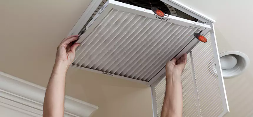 Our Insect Removal from Air Ducts Services in Athens, OH