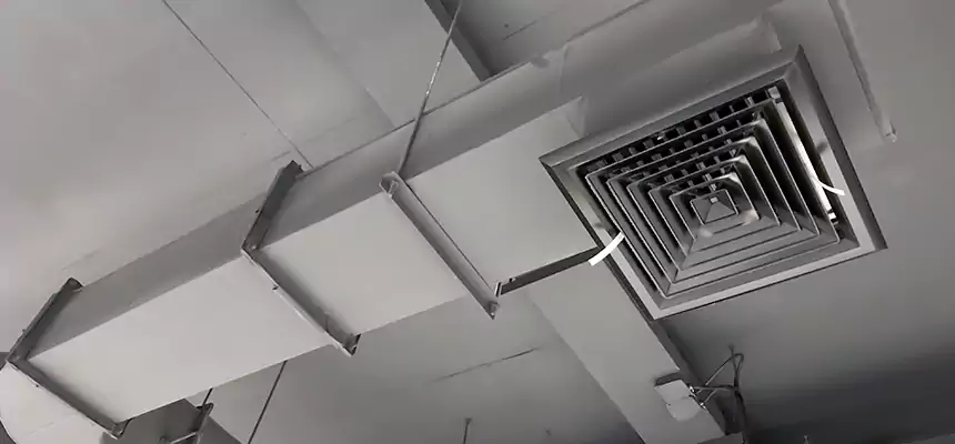 Our Pest Removal From Ducts Services in Athens, OH