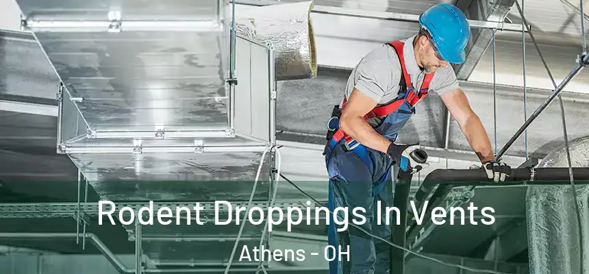  Rodent Droppings In Vents Athens - OH