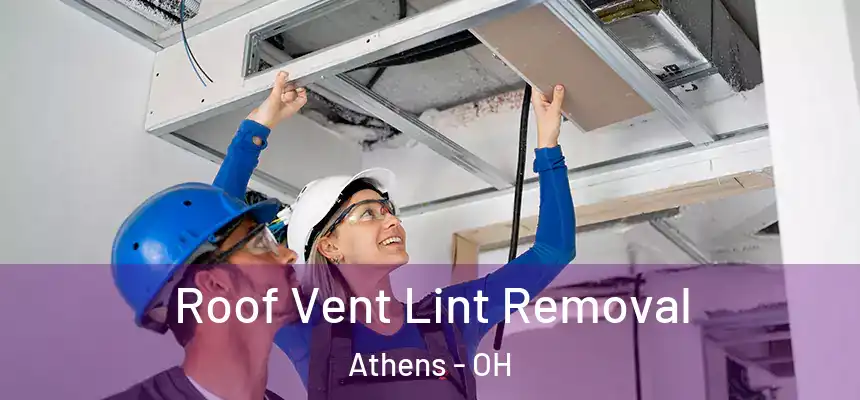  Roof Vent Lint Removal Athens - OH