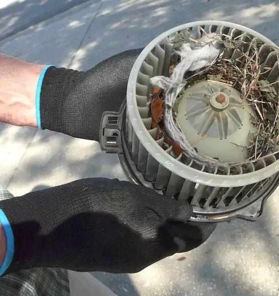 About Air Duct Mice Removal in Athens, OH