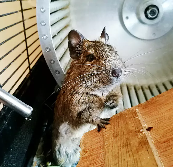 Why Homeowners & Businesses Trust Us Athens, OH?