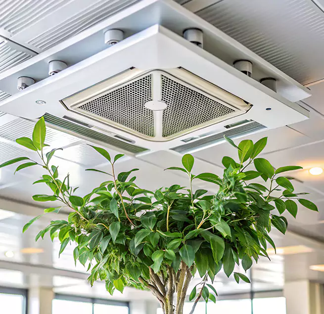 Why Homeowners & Businesses Trust Us in Athens, OH?